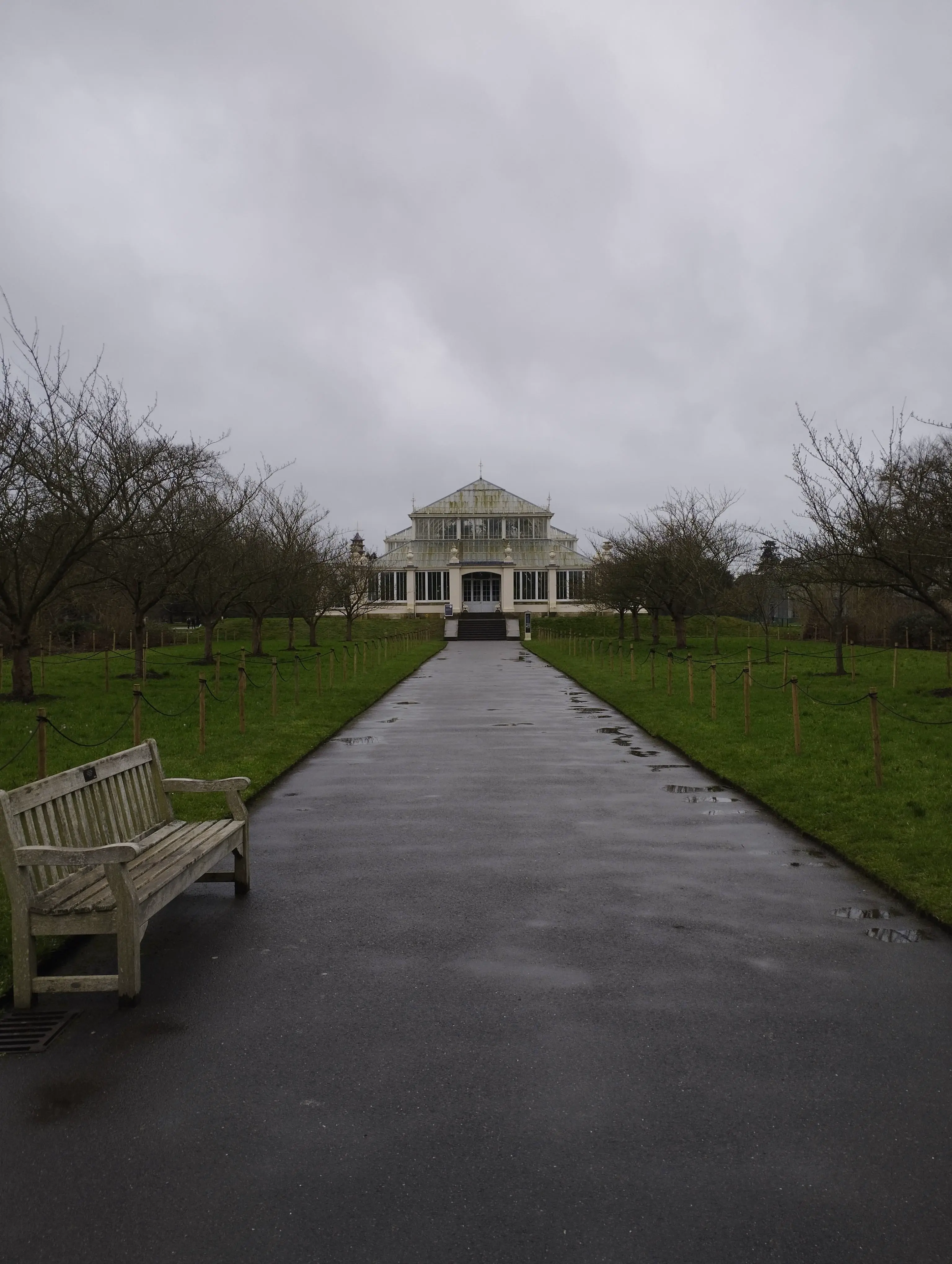 Pathway to a greenhouse on a cloudy day.